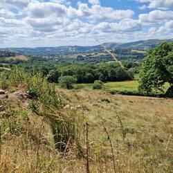 Attractive pasturel view on the route