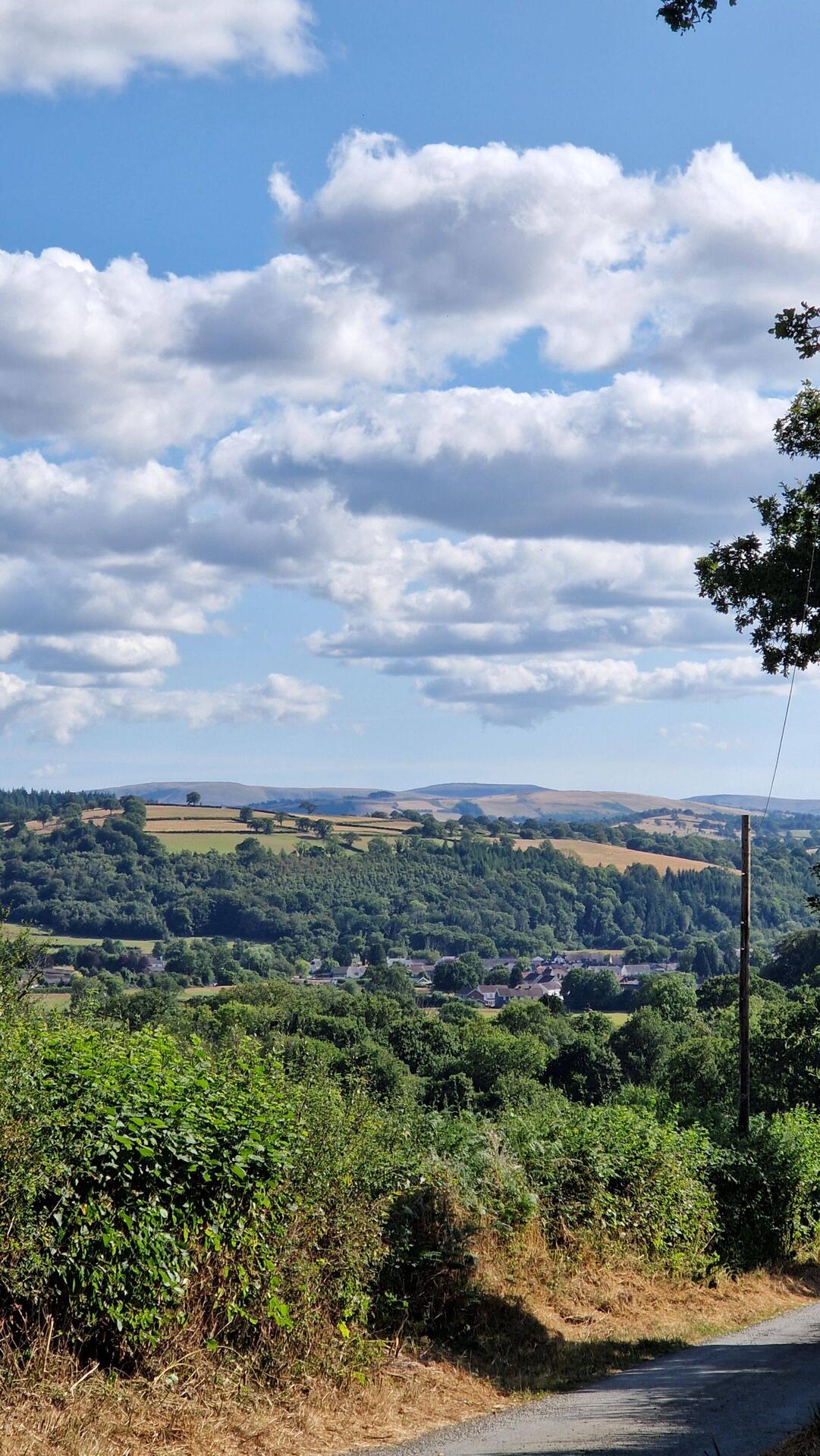 First view of Llandovery