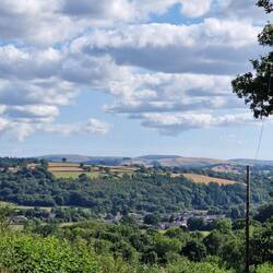First view of Llandovery