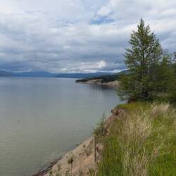 dr See bim Williston Lake Resort