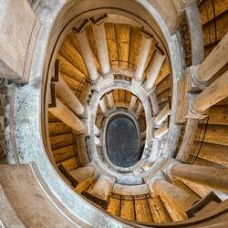 Borromini's oval staircase; tight, helicodal shape; in stark contrast to Bellini's square staircase.