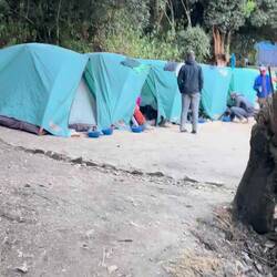 Erstes Camp
