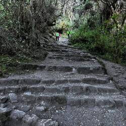 Die unendlichen Treppen