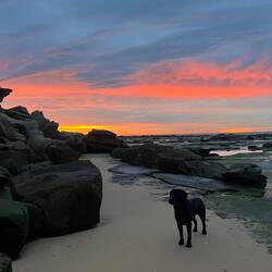 Early morning walks