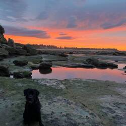 Shelly Beach