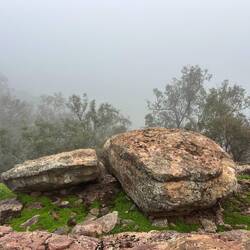 Boulder garden
