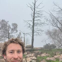 The tree at the top that you can see from camp
