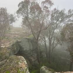 Misty beauty