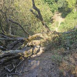 Rucksack und Wanderstöcke drüber und ich irgendwie unten durch