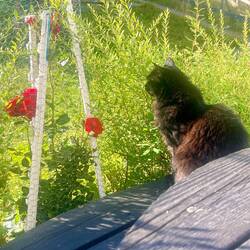 Guck doch mal her, ich will ein Foto machen...