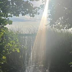 Guten Morgen 🔅