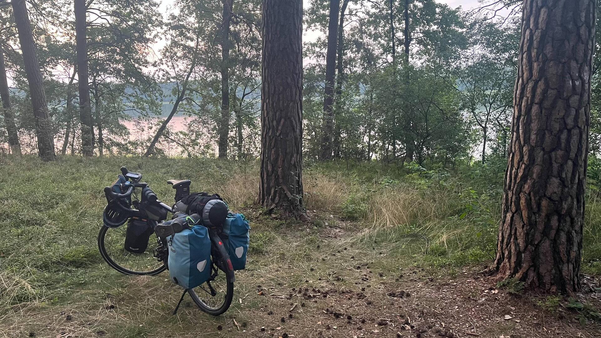 Meine zwei Bäume für die Nacht 🌳😅🌳