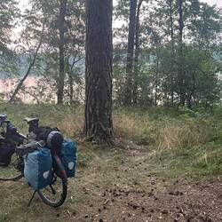 Meine zwei Bäume für die Nacht 🌳😅🌳