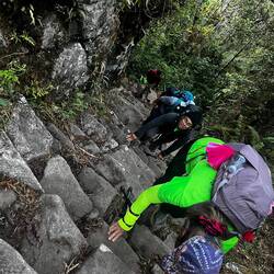 Steps, wir nannten sie "Monkey Stile"
