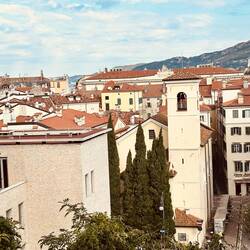 Rooftops of Trieste Old Town.