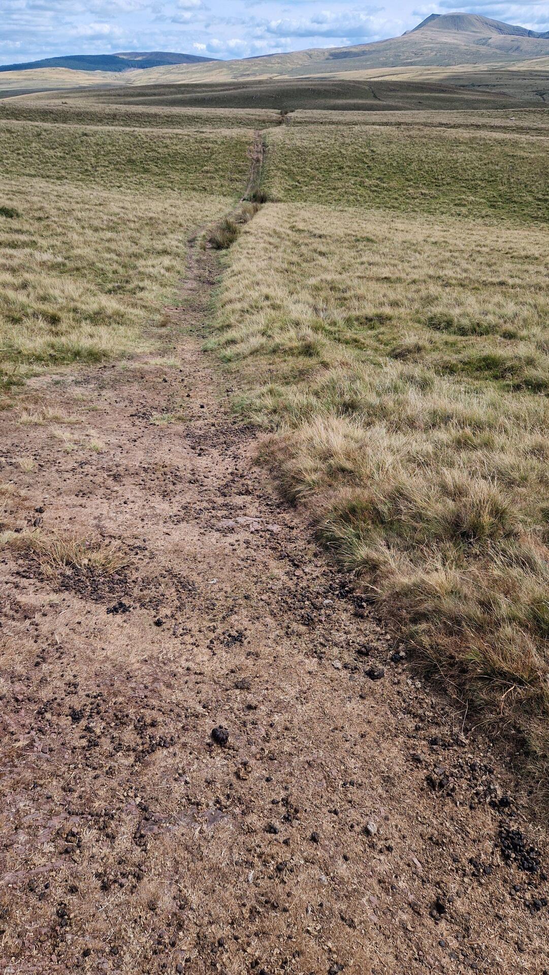 Narrow moorland path towards Carmarthen Fans
