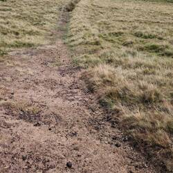 Narrow moorland path towards Carmarthen Fans