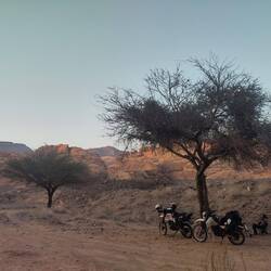 Again, a marvelous place, in Wadi Disah