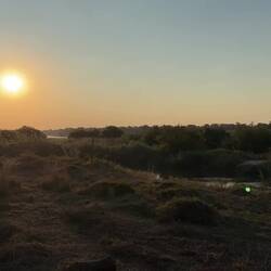 Okavango sunset