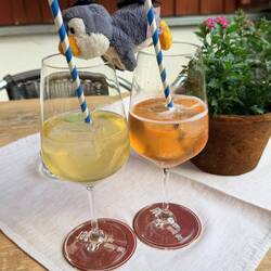 Auf die 1000km - Pingu hat gleich beide Spritz probiert 🐧