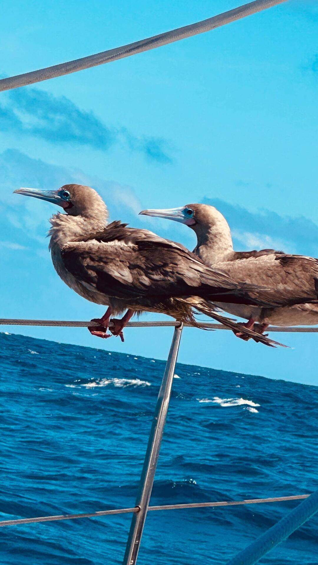 Blick Richtung Galapagos