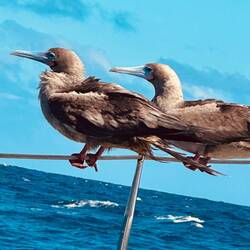 Blick Richtung Galapagos