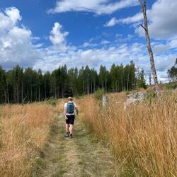 I walk alone