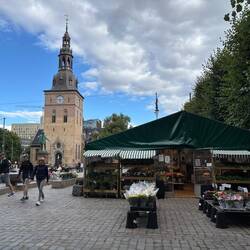 der etwas kleine Dom von Oslo