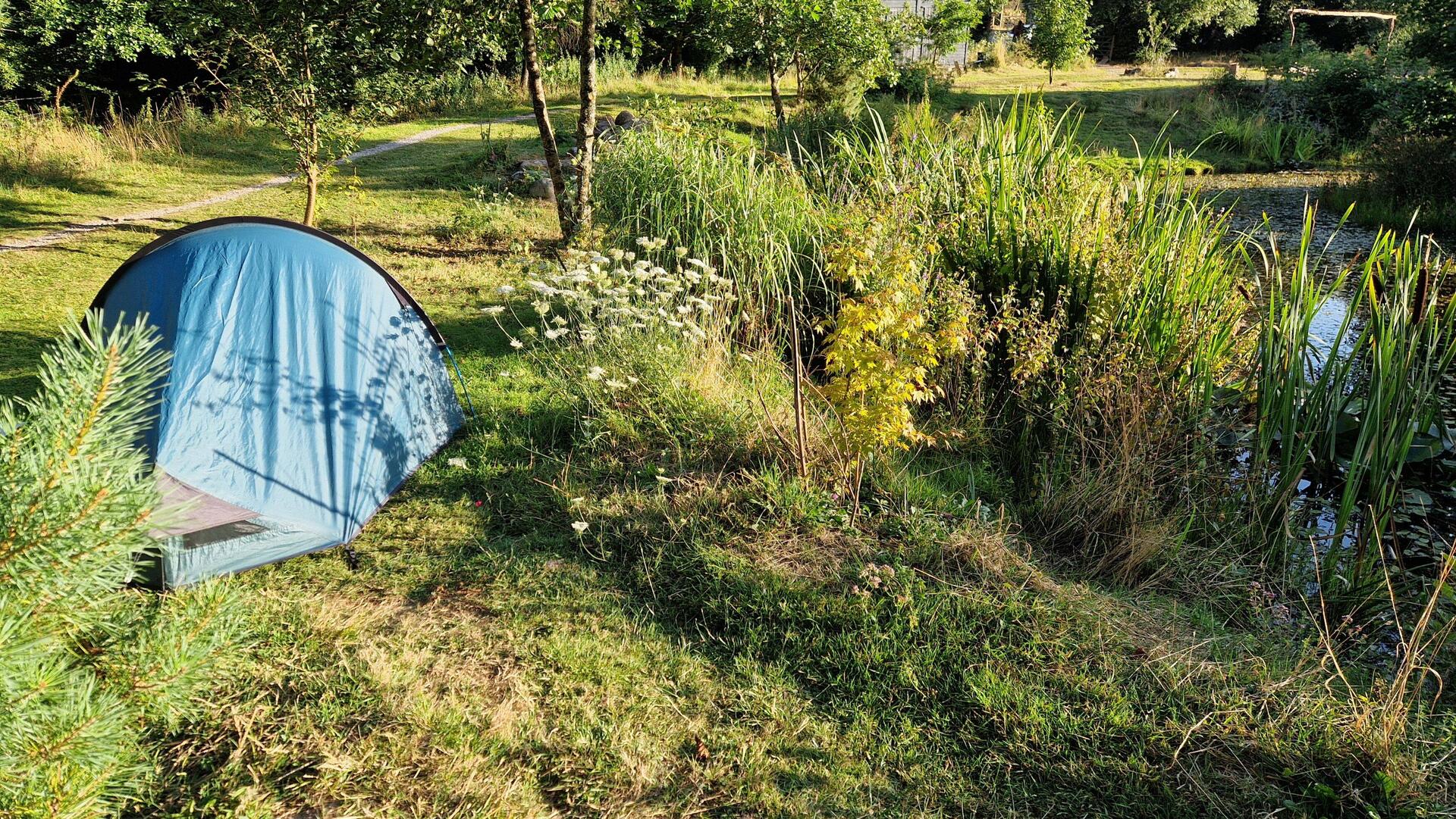 My pitch at The Wildman Woods campsite beside their lake
