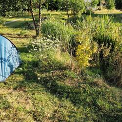 My pitch at The Wildman Woods campsite beside their lake