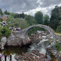 Rubber duck race