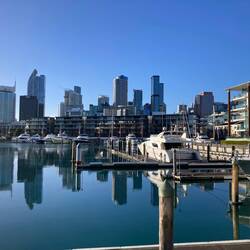 Viaduct Harbour