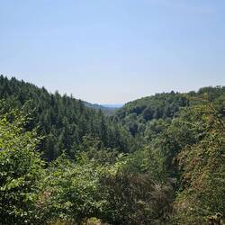Aussicht Nonnenley