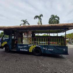The Bula bus! So much fun!