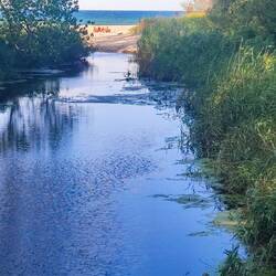 Von Fluss ins Meer