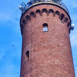 Am Turm sind ganz viele Vögel Zuhause