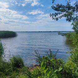 Jezioro Jamno