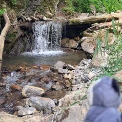 Kleiner Wasserfall 🐧