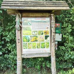 All along the trail are info signs about aspects of nature