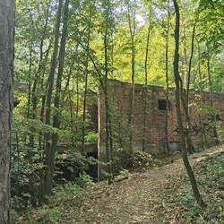 A never-finished 1960's chairlift terminal, reclaimed by the bush.