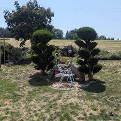 Wir lassen unseren vertrockneten Garten allein