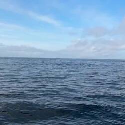 Pentland Firth in light airs