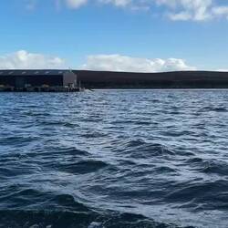 Fish farm
