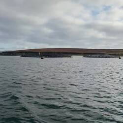 Fish Farms