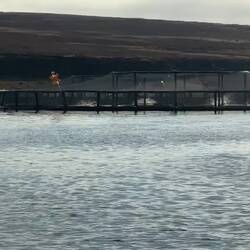 Fish Farms
