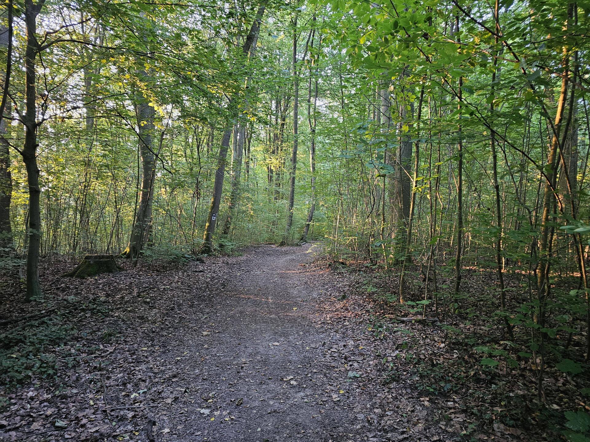Einfach schön morgens mit der Sonne