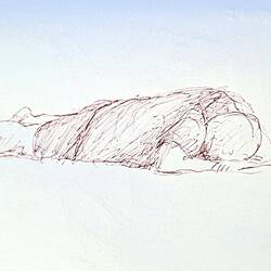 Studie