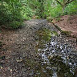 Very dry Bowden Burn