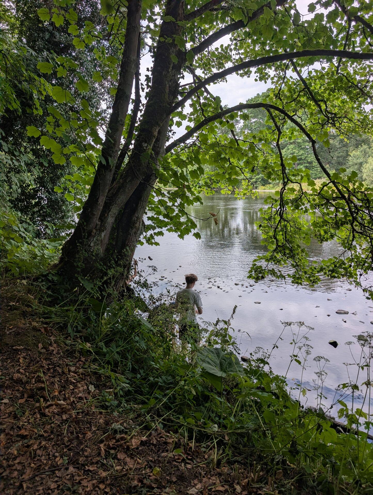 Throwing stones into the Tweed