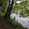 Throwing stones into the Tweed